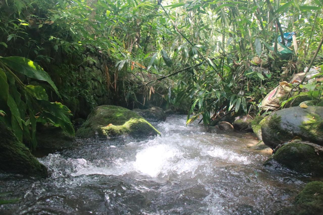 Nature Routes Cottage Munnar Εξωτερικό φωτογραφία