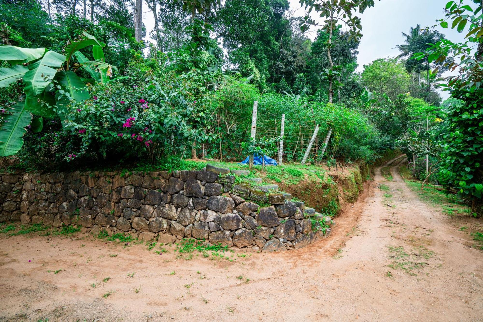 Nature Routes Cottage Munnar Εξωτερικό φωτογραφία