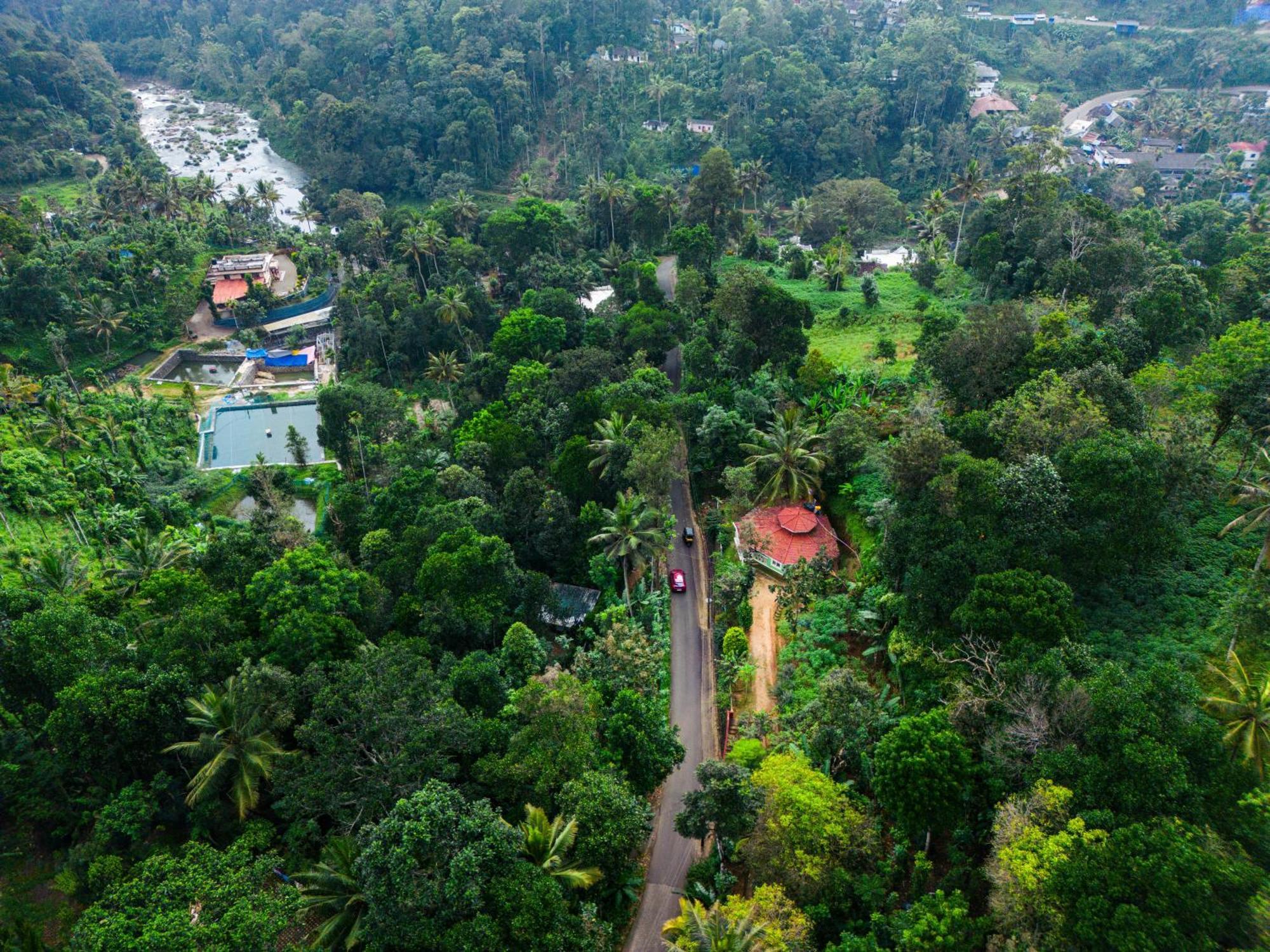 Nature Routes Cottage Munnar Εξωτερικό φωτογραφία