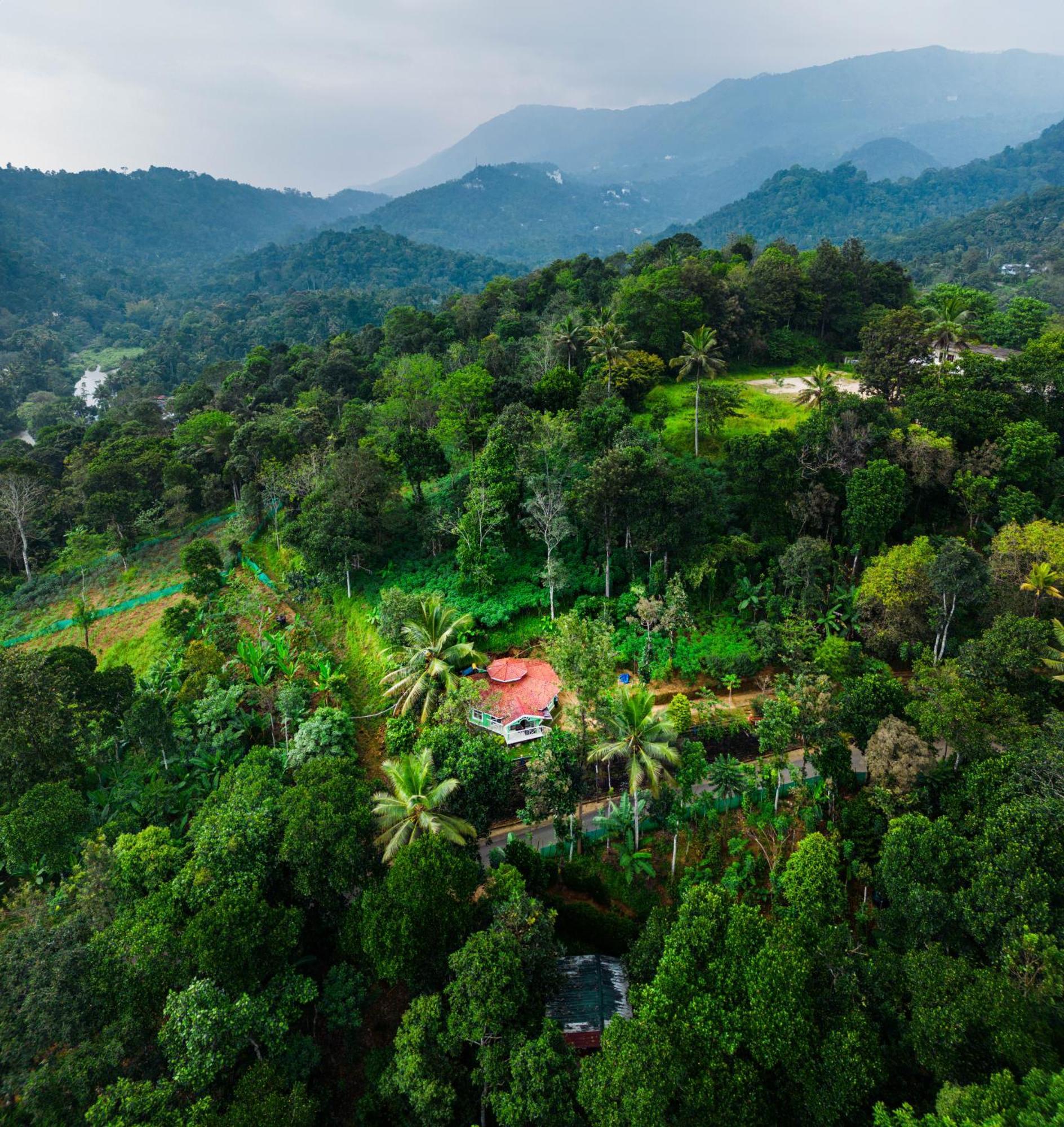 Nature Routes Cottage Munnar Εξωτερικό φωτογραφία